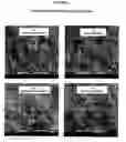 Fig. 03 - Porous coatings on adsorbent materials