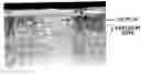 Fig. 01 - Duplex gas phase coating