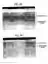 Fig. 07 - Duplex gas phase coating