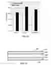 Fig. 10 - Method of operating a fuel cell stack