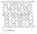 Fig. 01 - Neutral protic-salt electrolytes and protic-salt imbibed polymer membranes for high temperature fuel cell applications