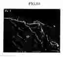 Fig. 04 - Polymer electrolyte membrane for fuel cell and fuel cell system including the same