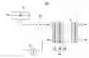 Fig. 01 - Cathode catalyst for fuel cell, method of preparing same, and membrane-electrode assembly and fuel cell comprising same