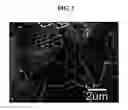 Fig. 06 - Negative active material including Si active metal grains and Cu—Al metal matrix surrounding Si active metal grains and rechargeable lithium battery including negative active material