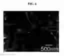 Fig. 07 - Negative active material including Si active metal grains and Cu—Al metal matrix surrounding Si active metal grains and rechargeable lithium battery including negative active material