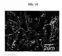 Fig. 11 - Negative active material including Si active metal grains and Cu—Al metal matrix surrounding Si active metal grains and rechargeable lithium battery including negative active material
