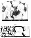 Fig. 02 - Electrode active material powder with size dependent composition and method to prepare the same