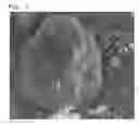 Fig. 03 - Electrode active material for secondary battery