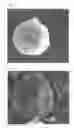 Fig. 03 - HIGH-CAPACITY ELECTRODE ACTIVE MATERIAL FOR SECONDARY BATTERY