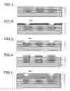 Fig. 02 - Positive photosensitive resin composition, method for forming pattern, and electronic part
