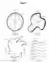 Fig. 08 - METHODS AND APPARATUS TO ENHANCE COGNITIVE FUNCTIONING AND ITS MANIFESTATION INTO PHYSICAL FORM AND TRANSLATION INTO USEFUL INFORMATION