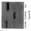 Fig. 05 - Methods and tools for screening active rna in cellulo