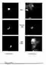 Fig. 06 - Methods and tools for screening active rna in cellulo