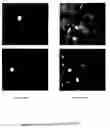 Fig. 12 - Methods and tools for screening active rna in cellulo