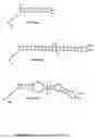 Fig. 17 - Methods and tools for screening active rna in cellulo