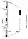Fig. 18 - Methods and tools for screening active rna in cellulo