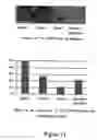 Fig. 19 - Methods and tools for screening active rna in cellulo