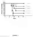 Fig. 03 - Binding molecules capable of neutralizing West Nile virus and uses thereof