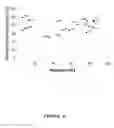 Fig. 05 - Binding molecules capable of neutralizing West Nile virus and uses thereof