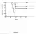 Fig. 08 - Binding molecules capable of neutralizing West Nile virus and uses thereof