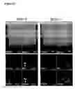 Fig. 25 - Posh polypeptides, complexes and related methods