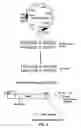 Fig. 05 - Compositions and methods for enhancing oligonucleotide-directed nucleic acid sequence alteration