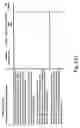 Fig. 28 - Method and Kit for Assessing a Patient's Genetic Information, Lifestyle and Environment Conditions, and Providing a Tailored Therapeutic Regime