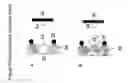 Fig. 04 - Device and method for measuring analytes