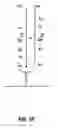 Fig. 06 - Methods for detection of genetic disorders