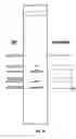 Fig. 23 - Methods for detection of genetic disorders