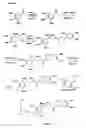 Fig. 08 - Method for the synthesis of DNA sequences