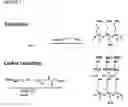 Fig. 06 - Massively parallel synthesis of proteinaceous biomolecules