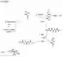 Fig. 07 - Massively parallel synthesis of proteinaceous biomolecules