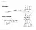 Fig. 06 - Massively parallel synthesis of proteinaceous biomolecules