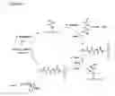 Fig. 07 - Massively parallel synthesis of proteinaceous biomolecules