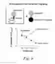 Fig. 10 - Methods for identifying GPR83 agonists and GPR83 antagonists capable of modulating regulatory T cell function