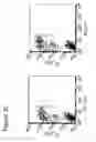 Fig. 05 - Method for identifying antigen specific b cells