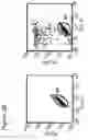 Fig. 06 - Method for identifying antigen specific b cells