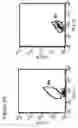 Fig. 09 - Method for identifying antigen specific b cells