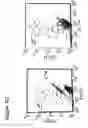 Fig. 16 - Method for identifying antigen specific b cells