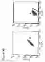 Fig. 17 - Method for identifying antigen specific b cells
