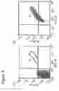Fig. 20 - Method for identifying antigen specific b cells