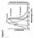 Fig. 26 - Method for identifying antigen specific b cells