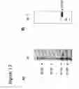 Fig. 34 - Method for identifying antigen specific b cells