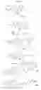 Fig. 02 - Immunoassay for LSD and 2-oxo-3-hydroxy-LSD