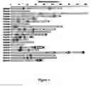 Fig. 05 - Methods for the determination of protein three-dimensional structure employing hydrogen exchange analysis to refine computational structure prediction