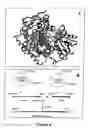 Fig. 05 - Enzymes and enzymic processes