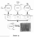 Fig. 07 - Enzymes and enzymic processes