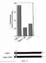 Fig. 08 - Protein having PGE2 synthase activity and use thereof
