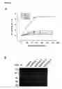 Fig. 05 - Nucleic acids for enhancing gene expression and use thereof